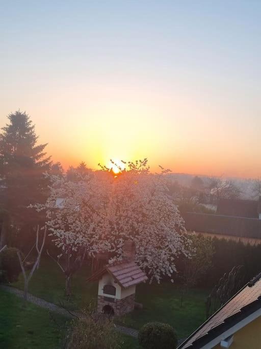 Ferienwohnung *Zur Weinbergstrasse* Lauta Buitenkant foto