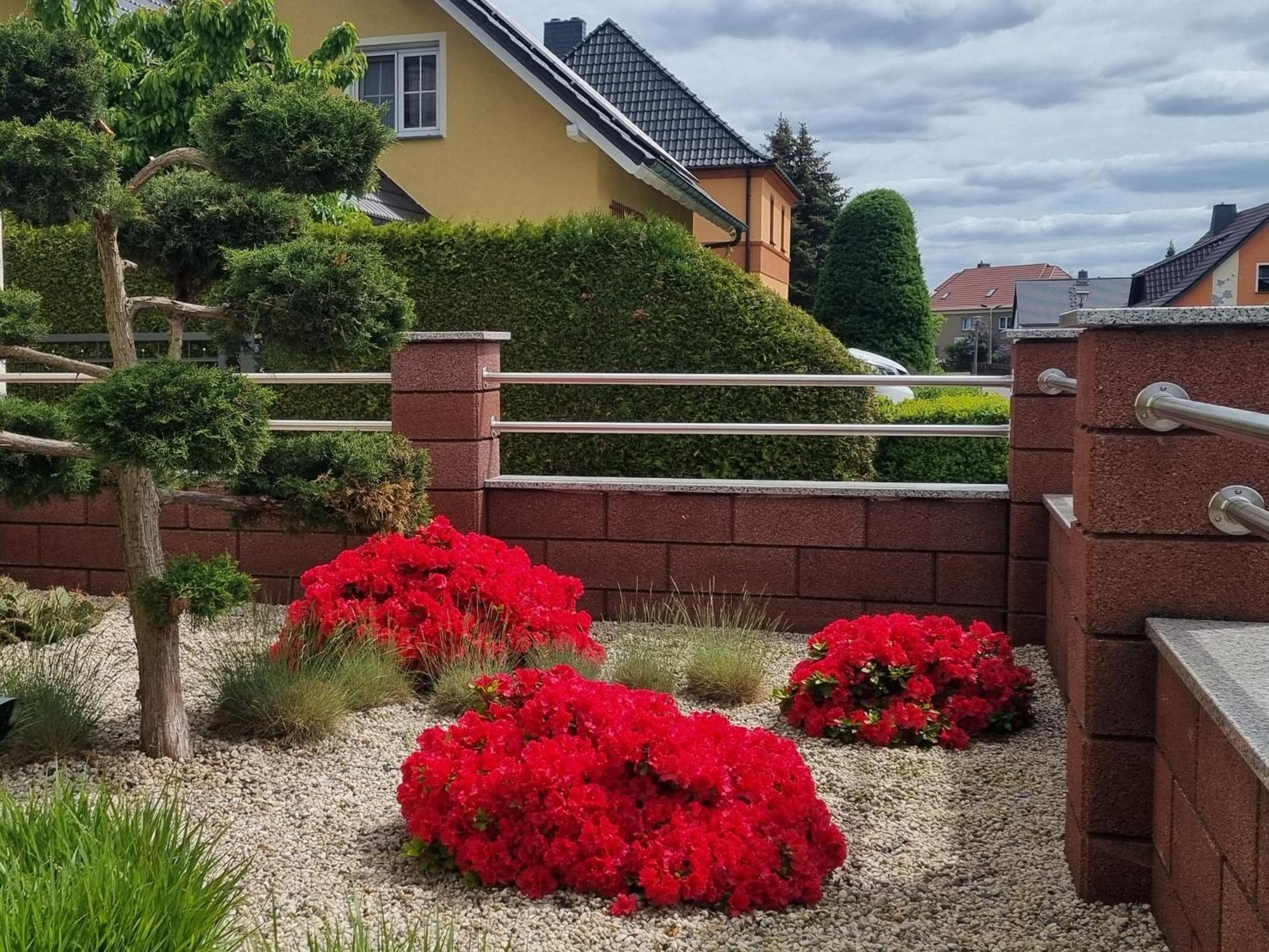 Ferienwohnung *Zur Weinbergstrasse* Lauta Buitenkant foto